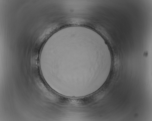 X0000115560585200912181619