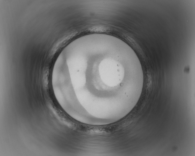 X0000115560586200912181619