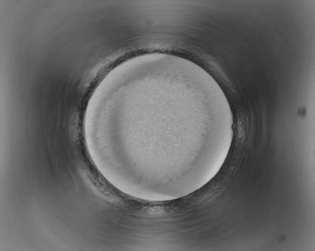 X0000115560588200912181619