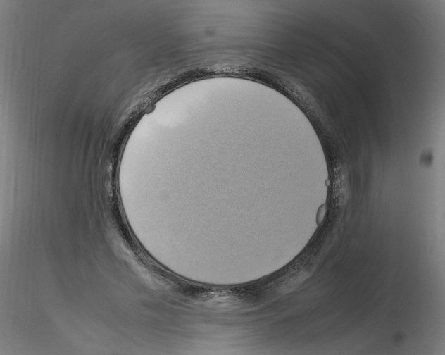 X0000115560589200912181619