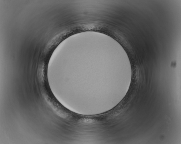 X0000115560590200912181619