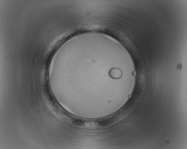 X0000115560591200912181619