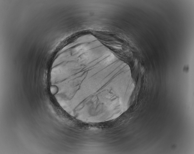 X0000115560592200912181619