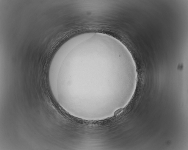 X0000115560593200912181619