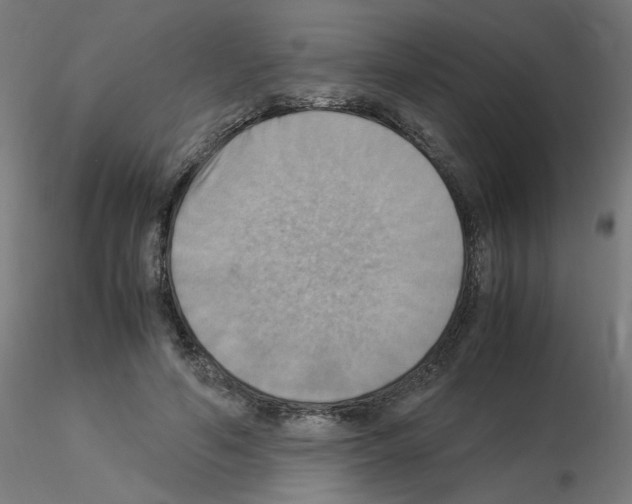 X0000115560594200912181619