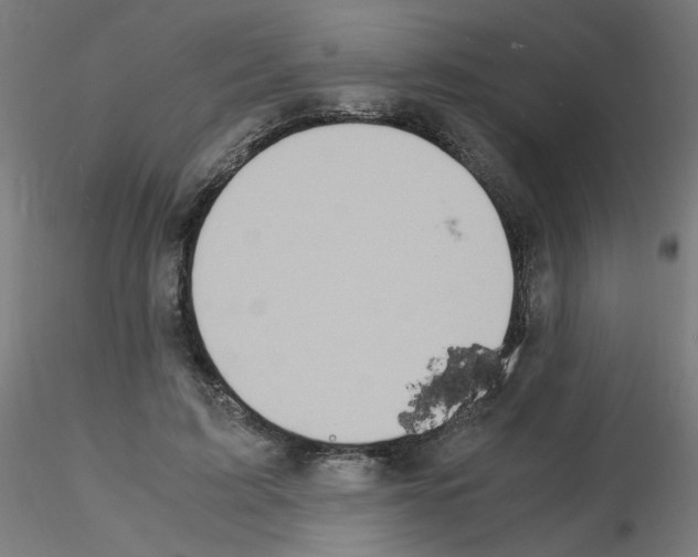 X0000115560595200912181619