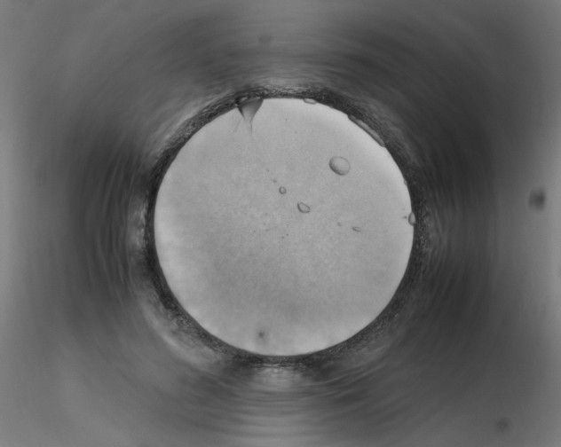 X0000115560596200912181619