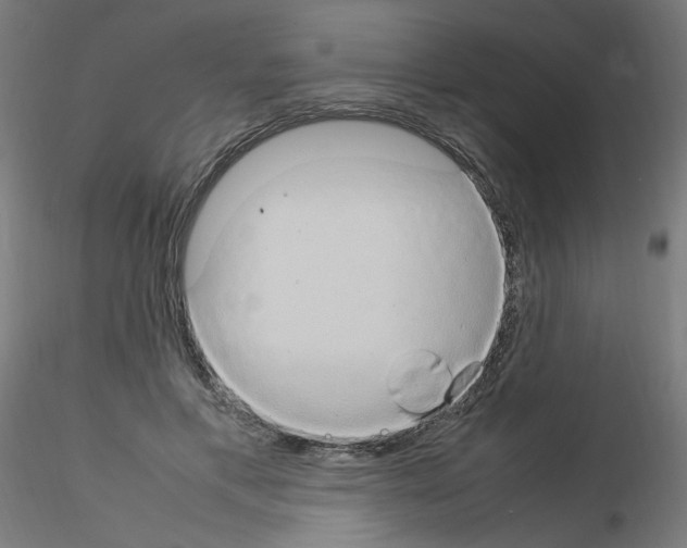 X0000115560597200912181619