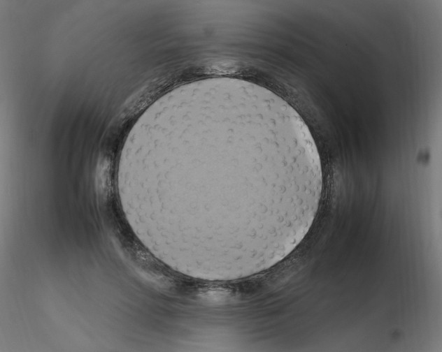 X0000115560598200912181619