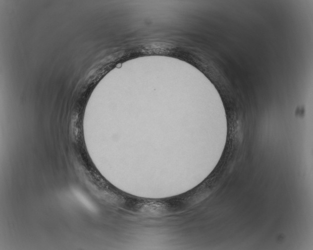 X0000115560599200912181619