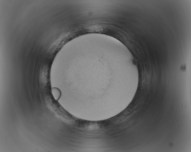 X0000115560600200912181619