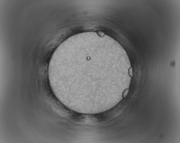 X0000115560601200912181619