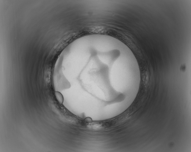 X0000115560602200912181619