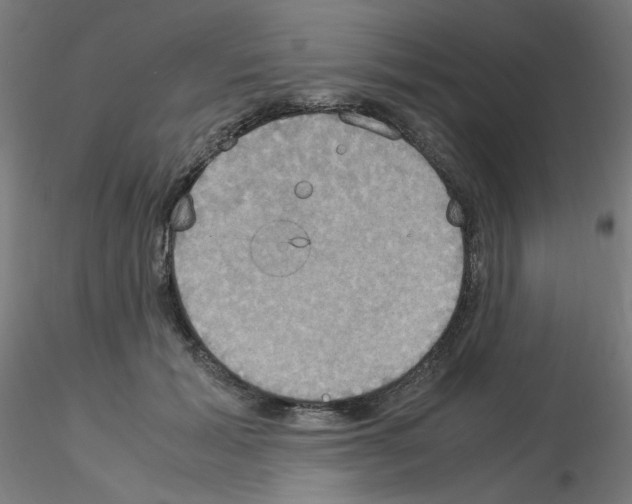 X0000115560605200912181619