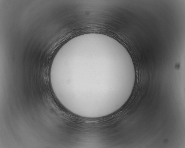 X0000115560606200912181619