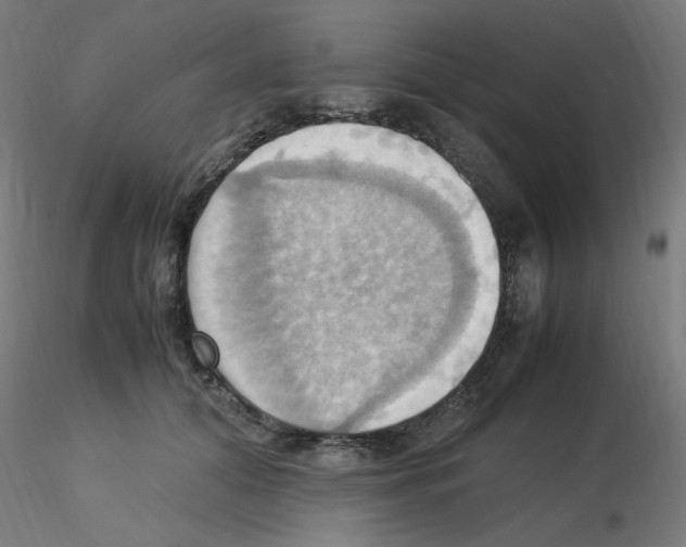 X0000115560608200912181619