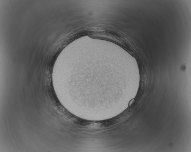 X0000115560609200912181619