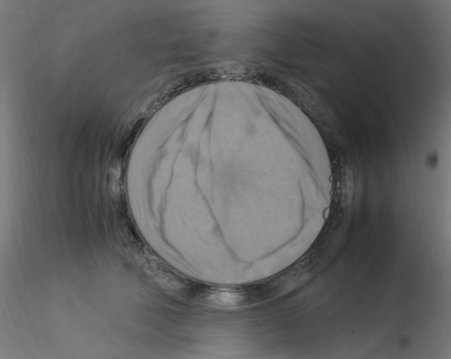 X0000115560610200912181619