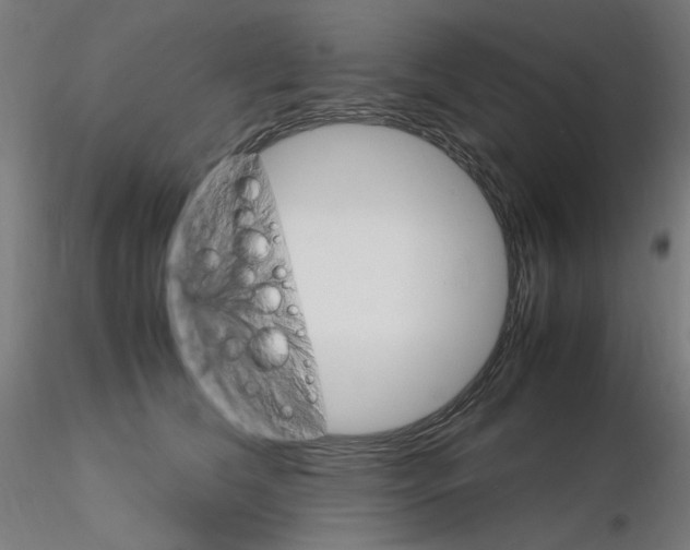 X0000115560612200912181619