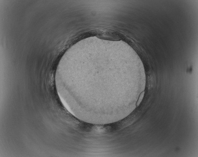 X0000115560613200912181619