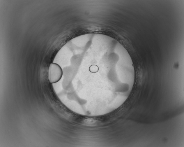 X0000115560614200912181619