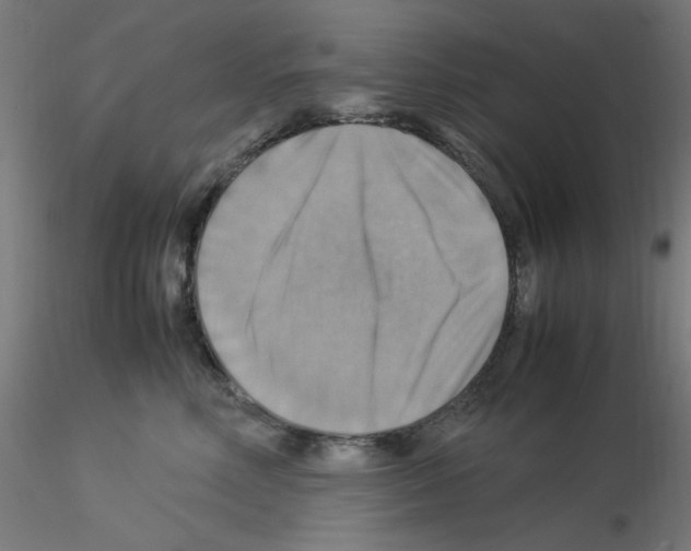 X0000115560618200912181619