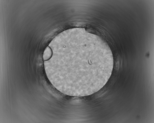 X0000115560620200912181619