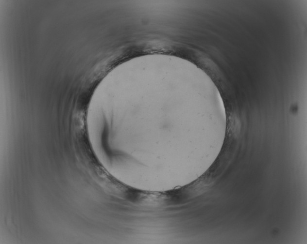 X0000115560621200912181619