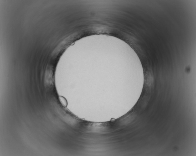 X0000115560622200912181619