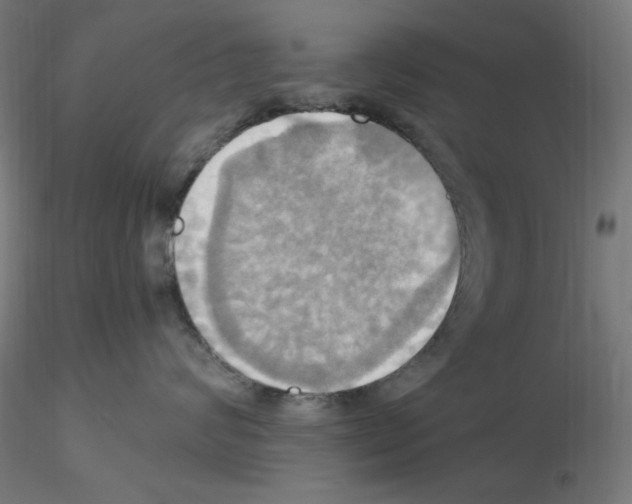 X0000115560624200912181619