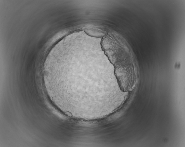 X0000115560625200912181618