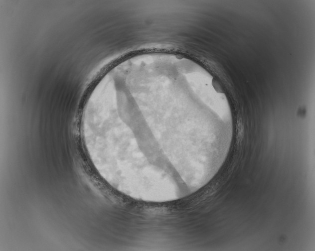 X0000115560628200912181618