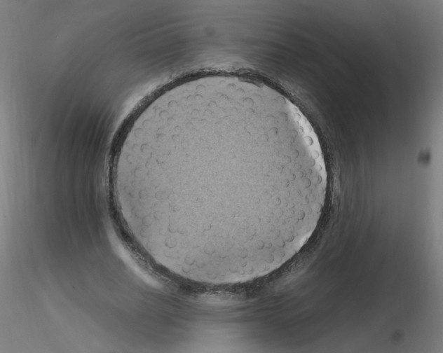 X0000115560630200912181618