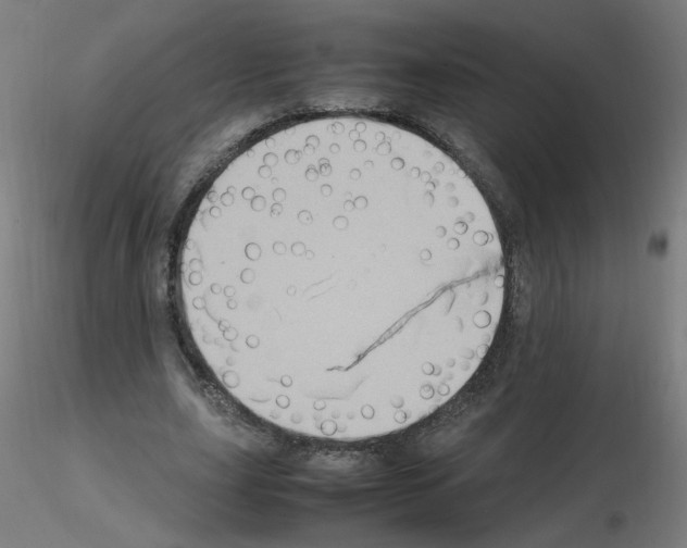 X0000115560631200912181618