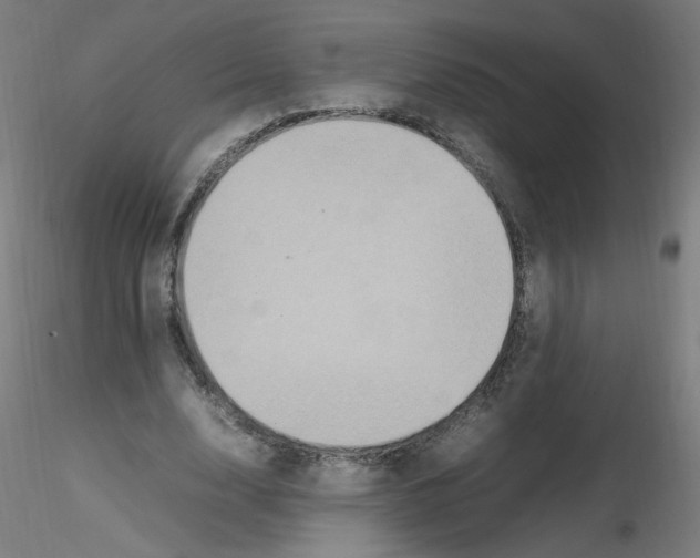 X0000115560632200912181618