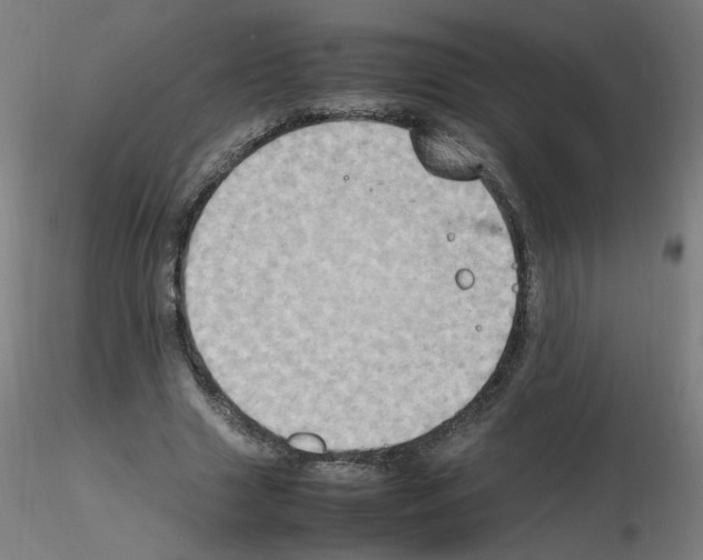 X0000115560633200912181618