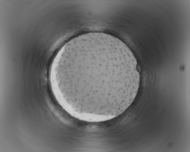 X0000115560634200912181618