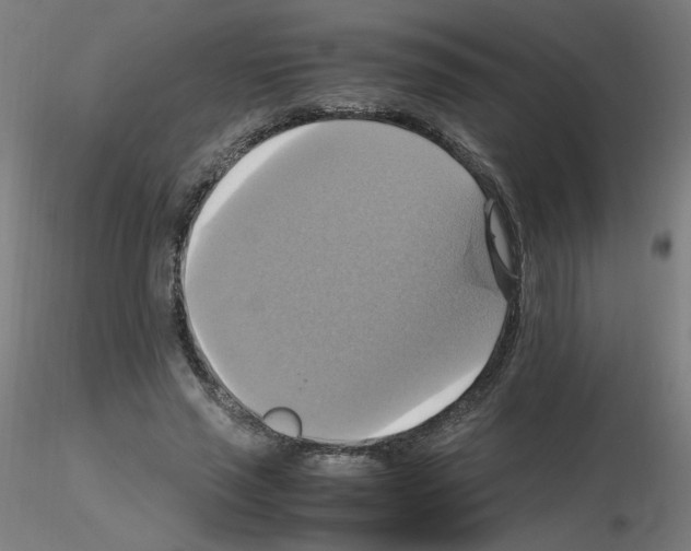 X0000115560637200912181618