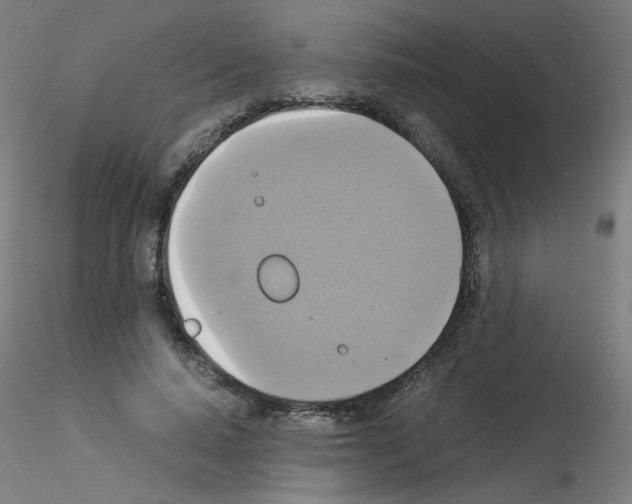 X0000115560640200912181618