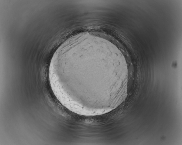 X0000115560641200912181618