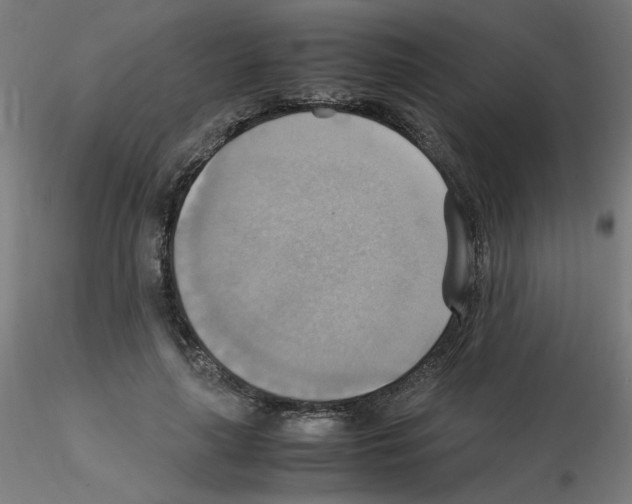 X0000115560643200912181618