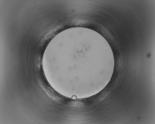 X0000115560644200912181618