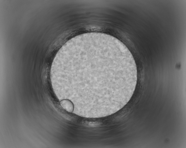 X0000115560645200912181618