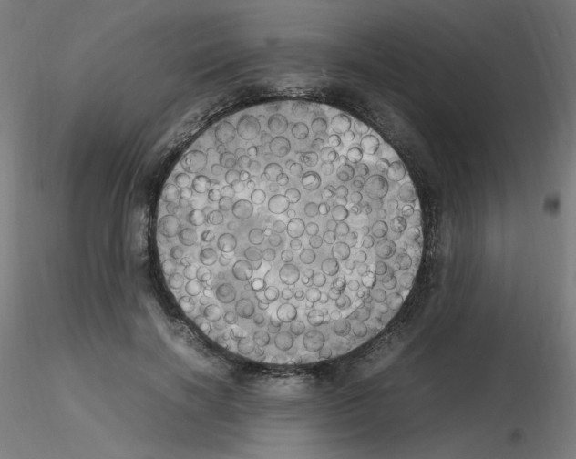 X0000115560646200912181618