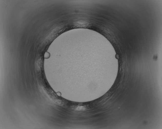 X0000115560647200912181618