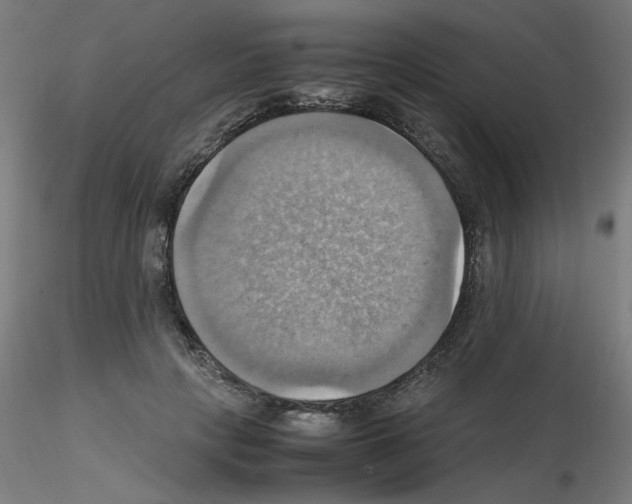 X0000115560649200912181618