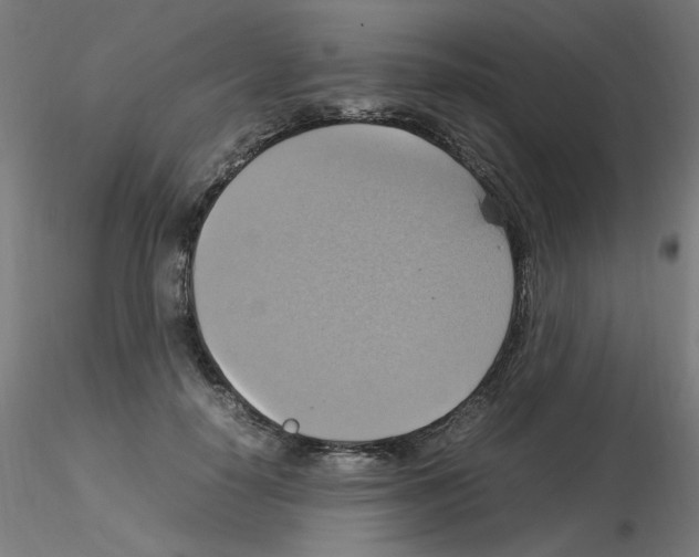 X0000115560650200912181618