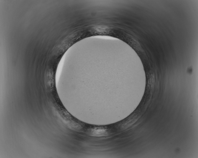 X0000115560651200912181618