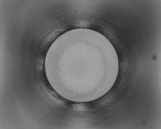 X0000115560652200912181618