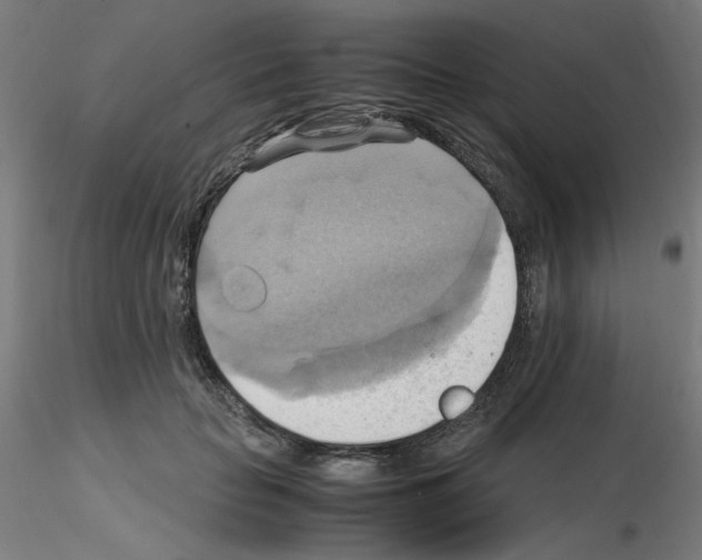 X0000115560653200912181618